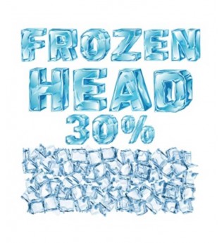 Atmos Lab Άρωμα Frozen Head 10ml